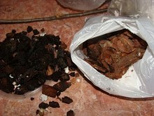Старый и свежий субстрат для каттлеи - сосновая кора
