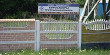 Декоративные садовые ограждения - еврозаборы